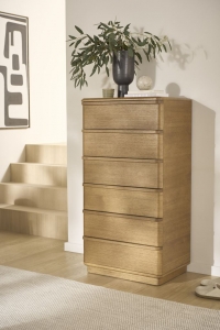 6 DRAWER WELLINGTON CHEST